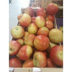 Pommes "Pinova" (environ 1kg)