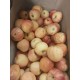 Pommes OPAL BIO (1KG)