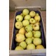 Pommes "Chanteclerc" (500g)