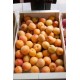 Abricots (500g)