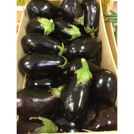 Aubergines (600g)