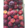 Pêches jaunes (500g)
