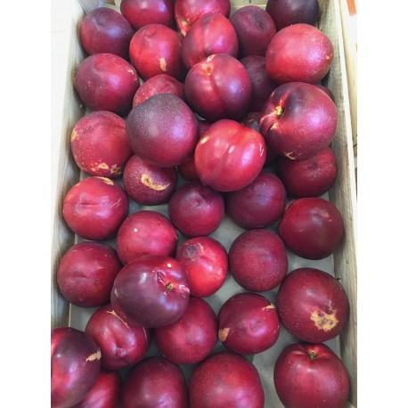 Nectarine blanche (500g)