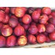 Nectarine jaune (500g)