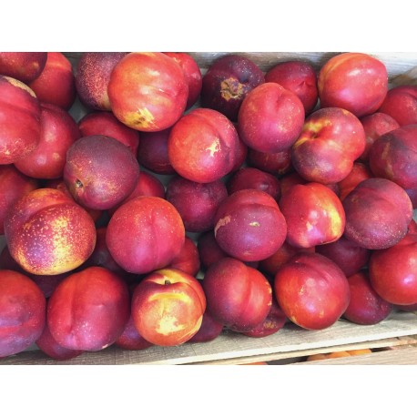 Nectarine jaune (500g)