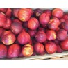 Nectarine jaune (500g)