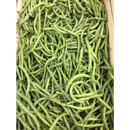 Haricots verts (500g)