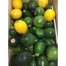 Courgettes rondes (500g)