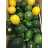 Courgettes rondes (1 kg)