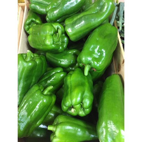 Poivrons (500g)