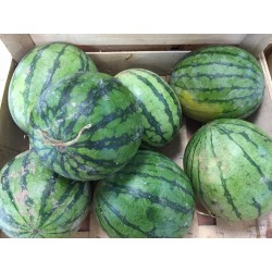 Pastèque