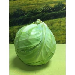 Chou vert (1Kg)