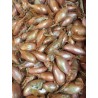 Échalottes (environ 300g)