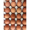 Oeufs fermiers (x6)