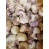 Ail  (environ 250g)