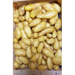 Pommes de terre nouvelles 