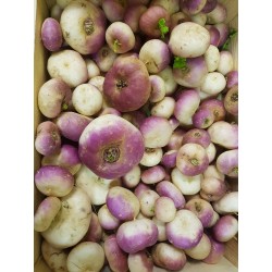 Navets de printemps (500g)