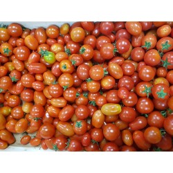 Tomate cerise (500g)
