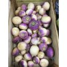 Navets violet (environ 500g)
