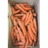 Carottes (environ 1 kg)