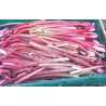 Rhubarbe (1 kg)