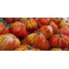Tomates variété coeur de boeuf (1kg)