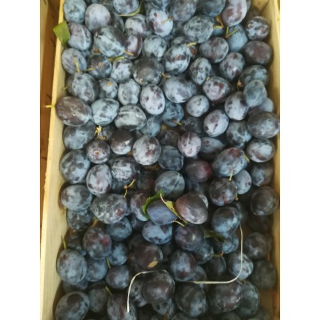 Mirabelles (500g)