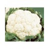 Chou fleur (environ 1.2kg)