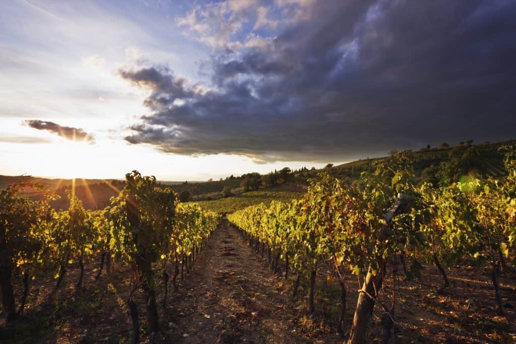 Beaujolais bio et panier gourmand à offrir